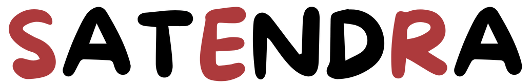 Satendra Store Logo